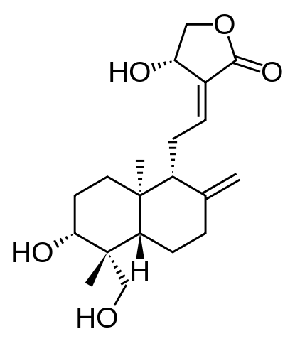 Andrographolide, Wirkstoff in Adrographis p.
