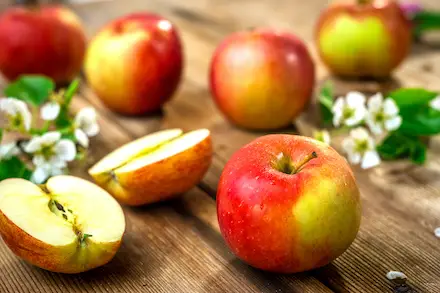 Apfel-Diät
